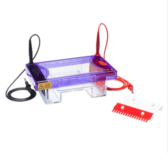 Electrophoresis multi sub midi set cleaver