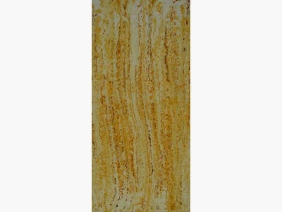 EUROPRATIK Lucento 10300 Series