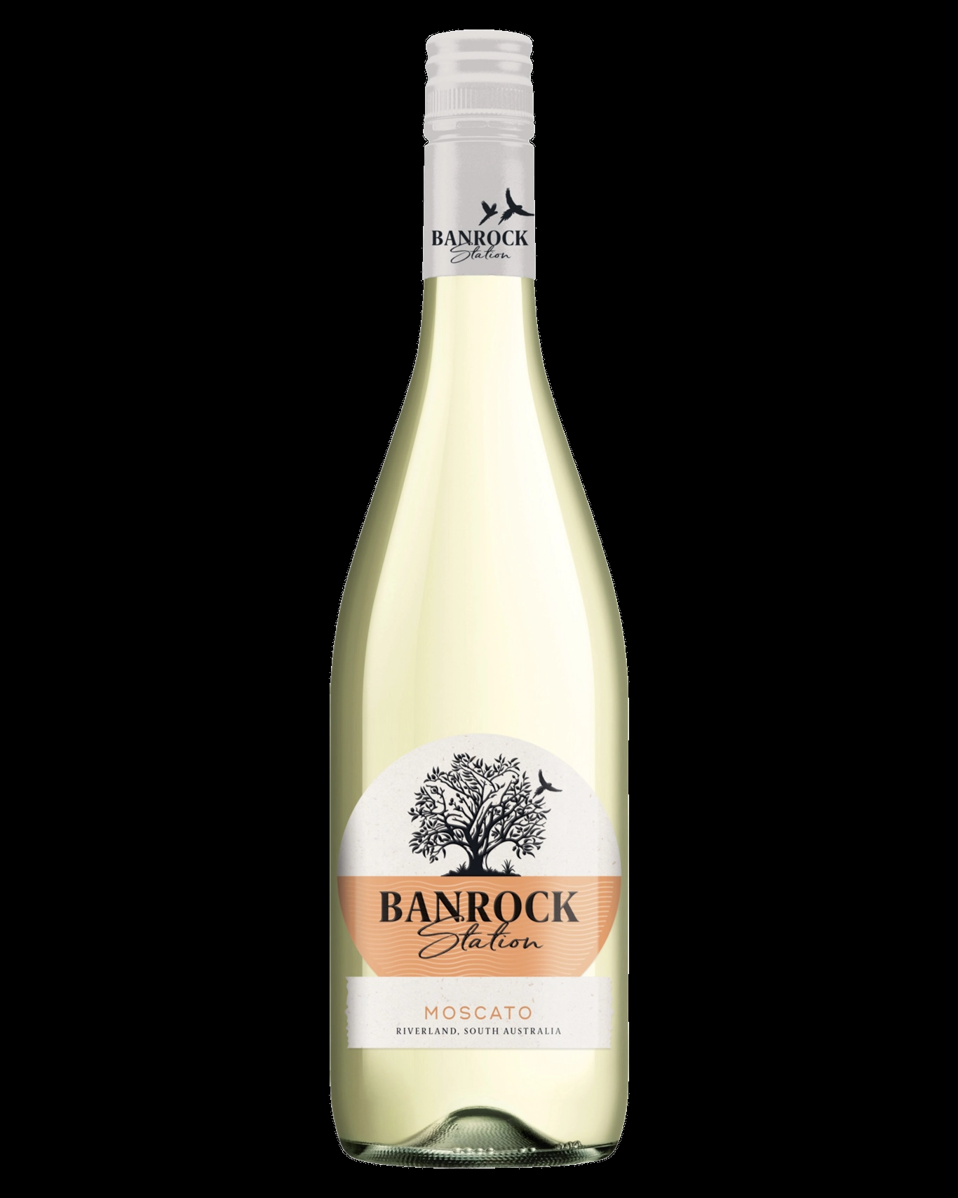 https://s3.vistaartrade.com/vistaartrade/media/products/2022/08/31/BANROCK_STATION_MOSCATO_WHITE.webp