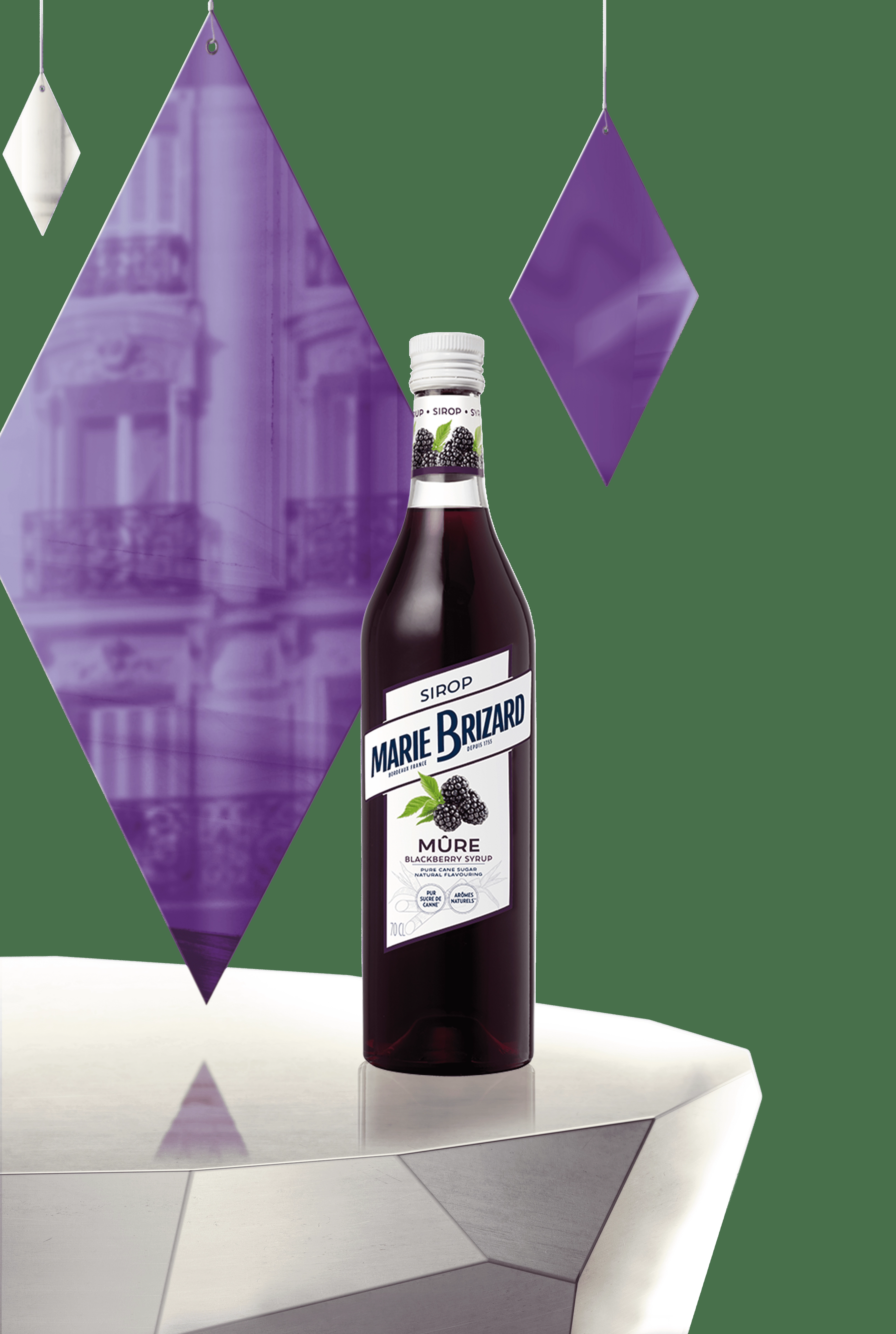 https://s3.vistaartrade.com/vistaartrade/media/products/2022/09/01/MARIE_BRIZARD_BLACKBERRY_MURE_SYRUP.webp