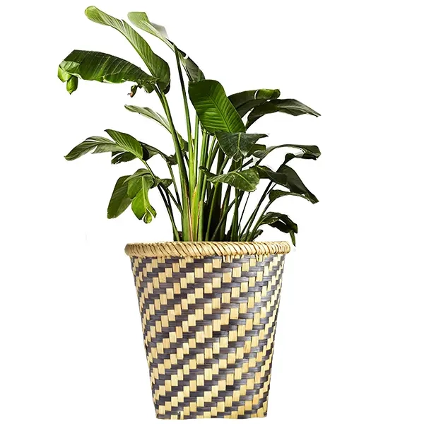 Natural Handmade Bamboo Flowerpot