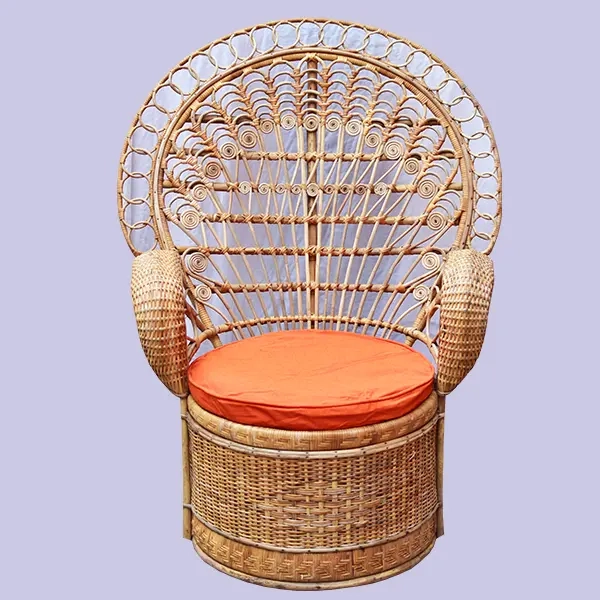 Cane & Rattan Throne