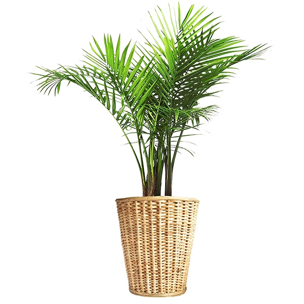 Natural  Rattan Flowerpot