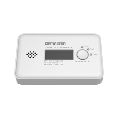 Standalone Carbon Monoxide Alarm-HY-GC20B