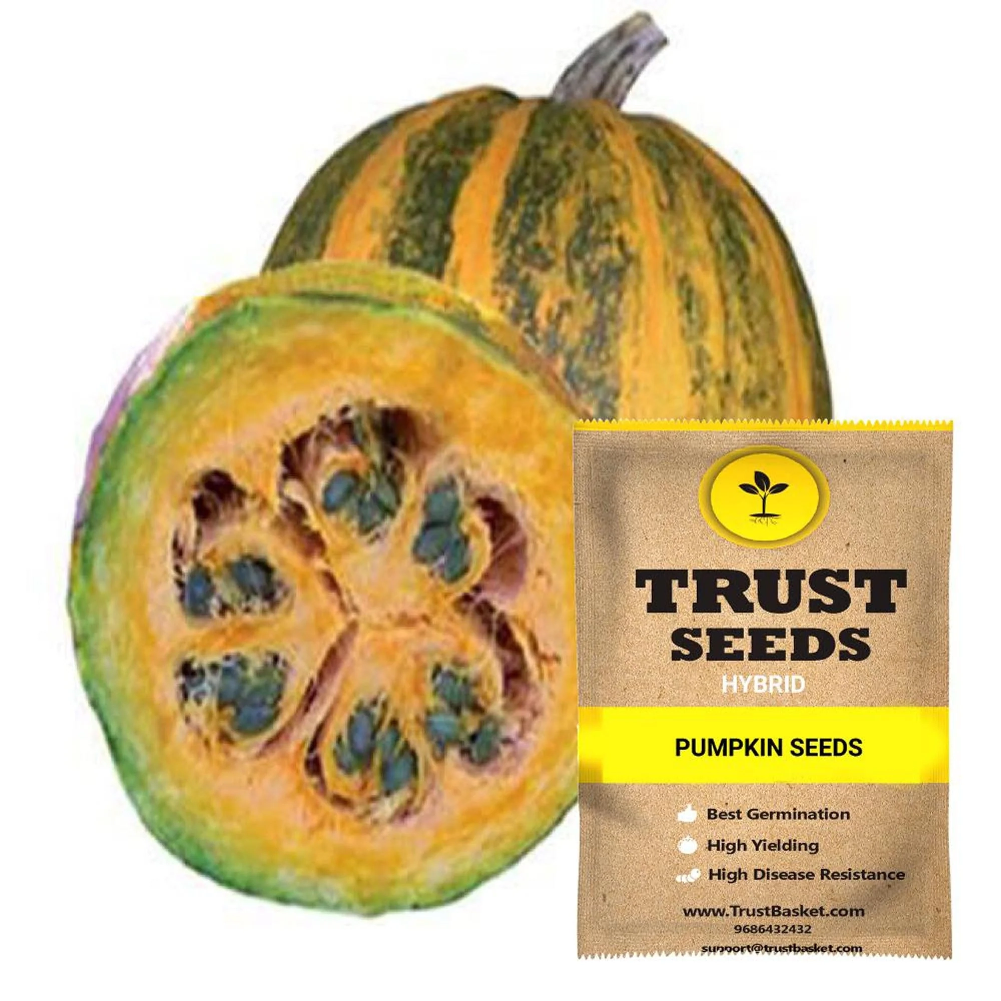 https://s3.vistaartrade.com/vistaartrade/media/products/2023/06/23/pumpkin_seeds.webp
