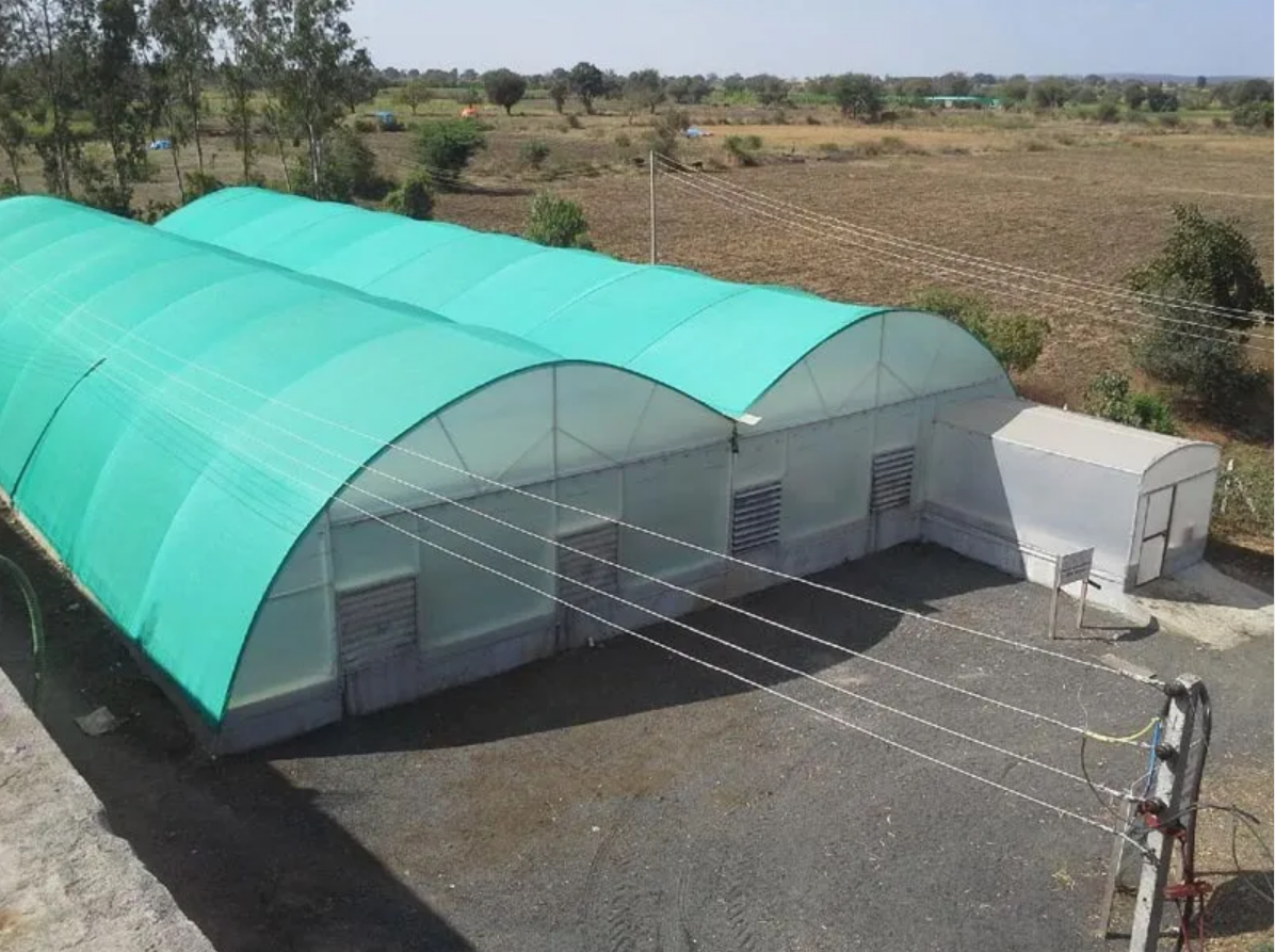 Polyester Green House