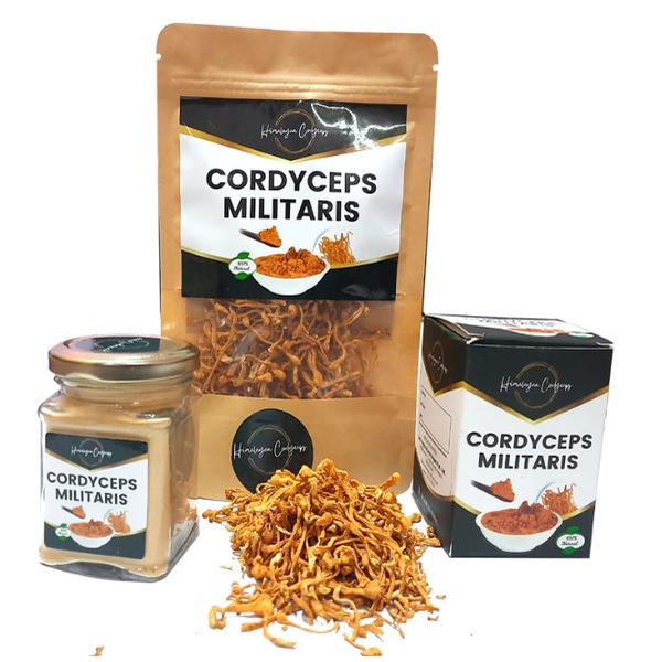 Cordyceps Militaris Mushroom (Natural form )/100gm