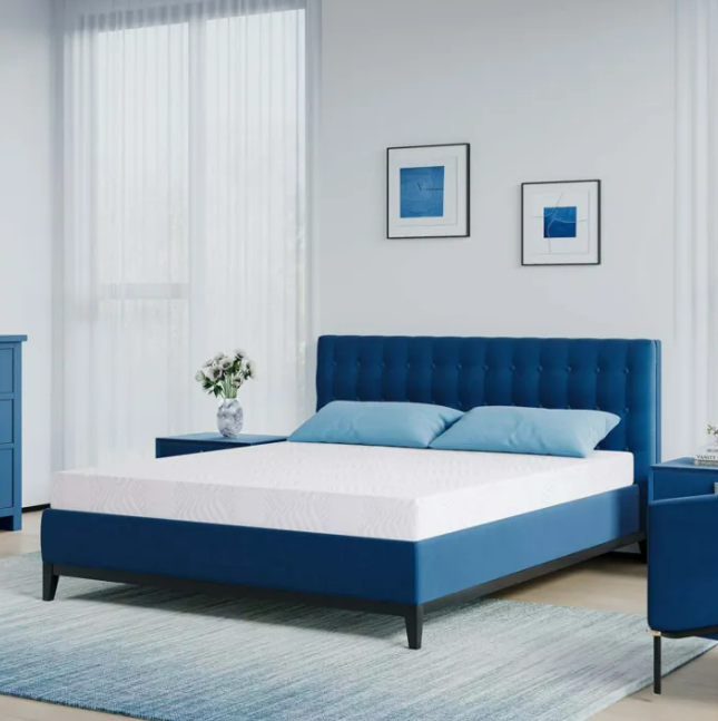 Jindal Mattress [36 Inches × 72 Inches] With 6 Years Guarantee