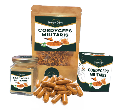 Cordyceps Militaris Mushroom (Capsule Form)/25 gm
