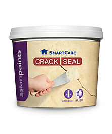 https://s3.vistaartrade.com/vistaartrade/media/products/2023/08/30/smartcare-crack-seal-asian-paints.png