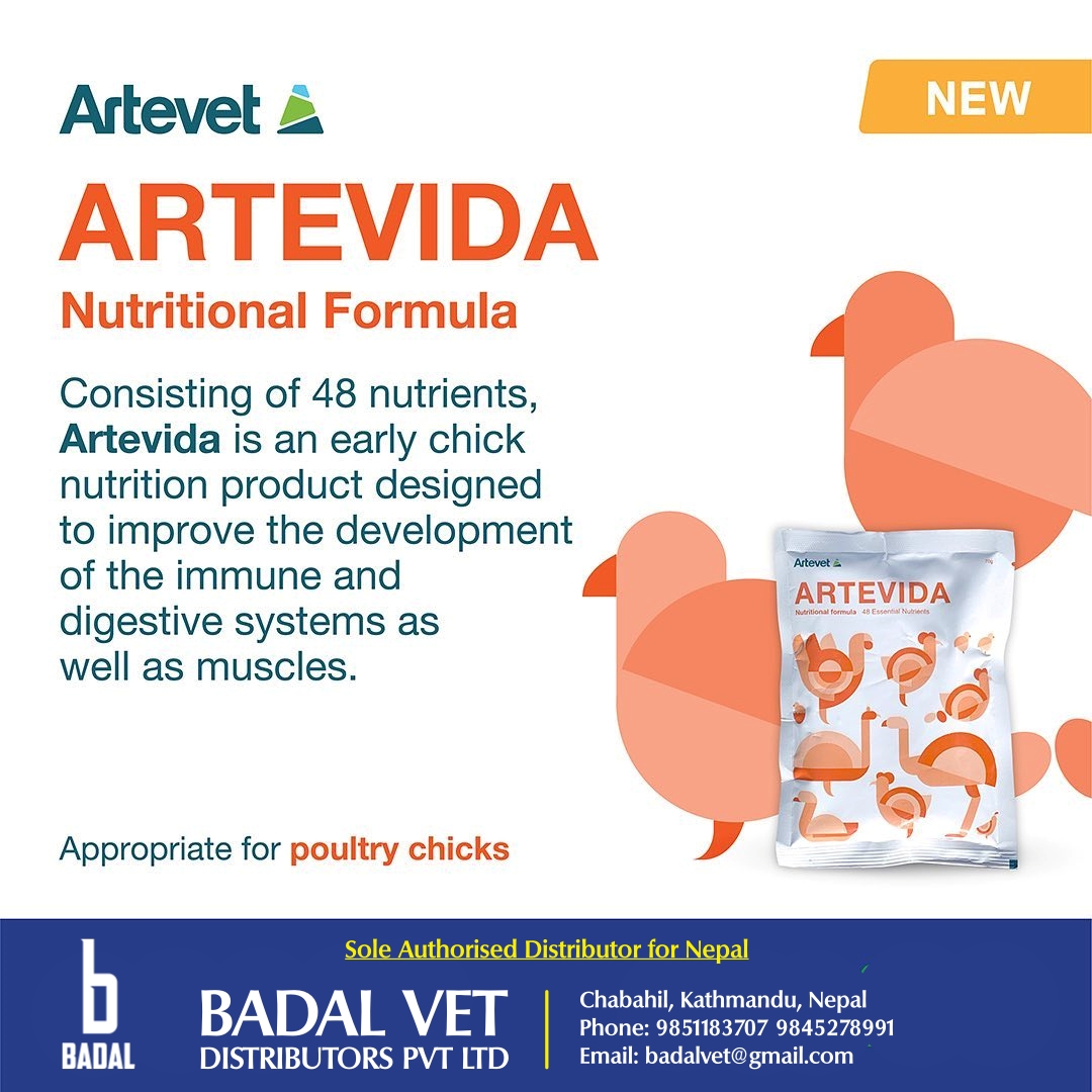 ARTEVIDA