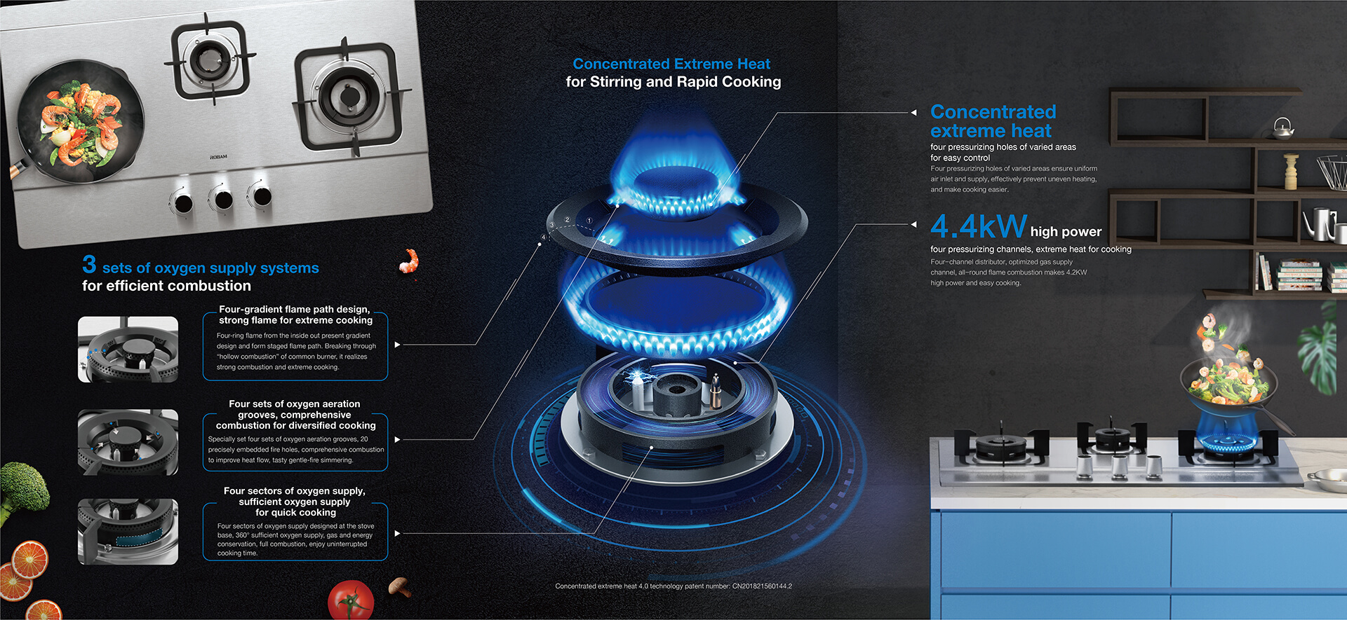 Robam Stainless Steel Gas Stove/ Hob