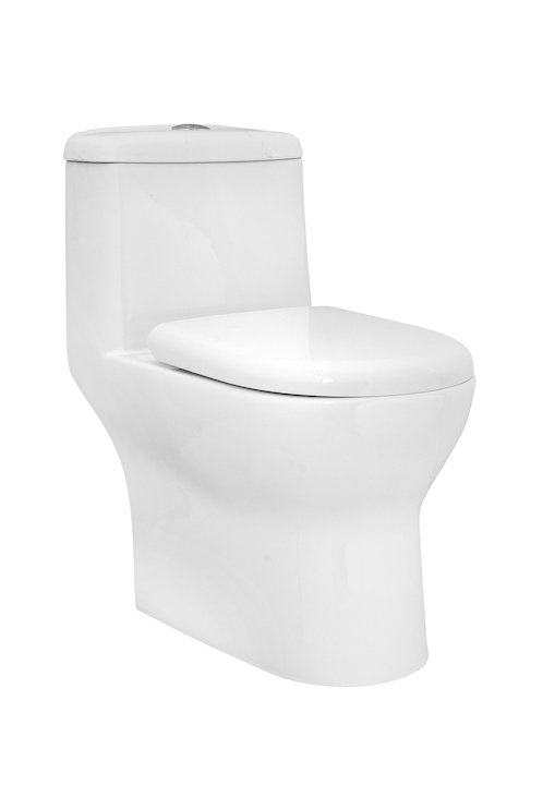 Parryware Prince Single Piece Commode(S-280mm)- C849N
