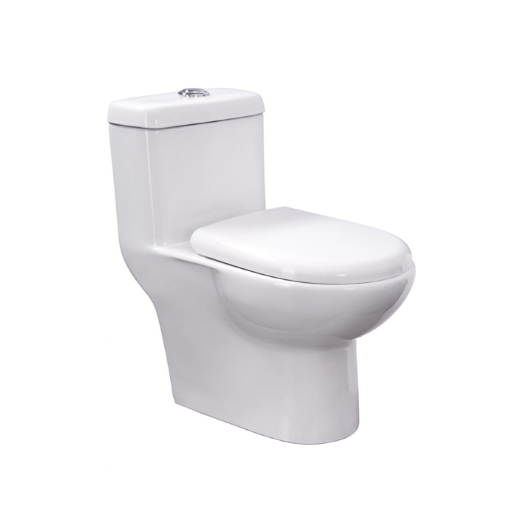 Parryware Entice Single Piece Commode- C847K
