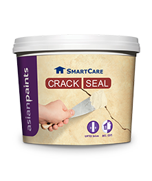 Asian Paints - Crack Seal