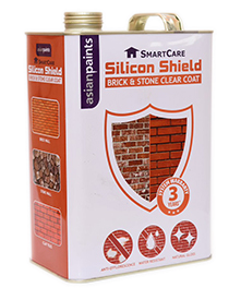 Asian Paints - Silicon Shield