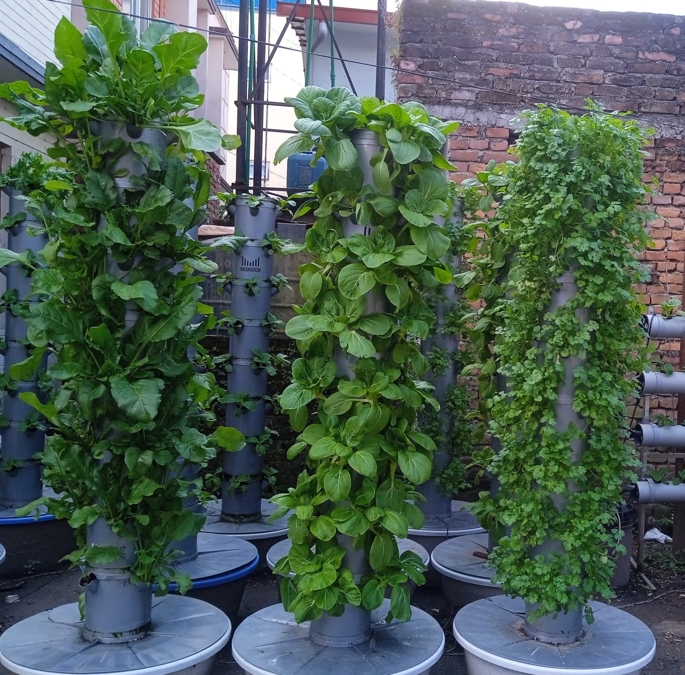 Hydroponics Tower for Herbs, Fruits and Vegetables,69*69*37