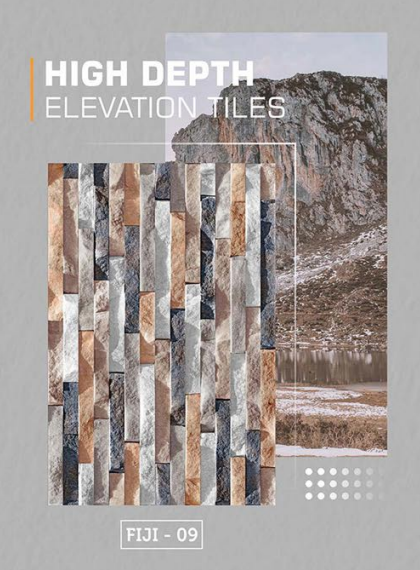 Vecton International (Fiji Collection) Model - Fiji 09