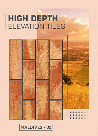 Vecton International (Maldives Collection) Model - Maldives 01