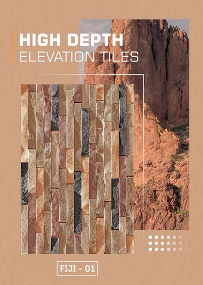 Vecton International (Fiji Collection) Model - Fiji 01