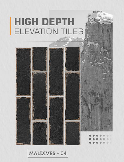 Vecton International (Maldives Collection) Model - Maldives 04