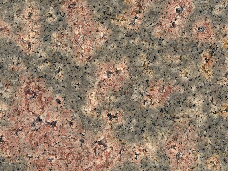 Guru Hasti Bala Flower Granite