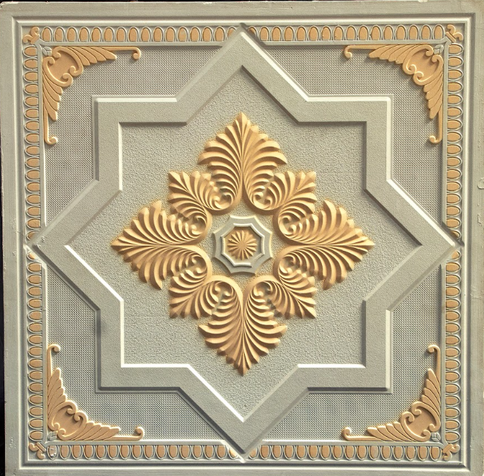 2x2 Selicate Use For Ceiling