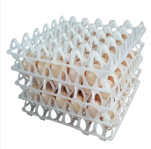 High Quality 30 Holes 100% Virgin Plastic Egg Crate/ Egg Transport Crates / Egg Tray For Sale  In Different color