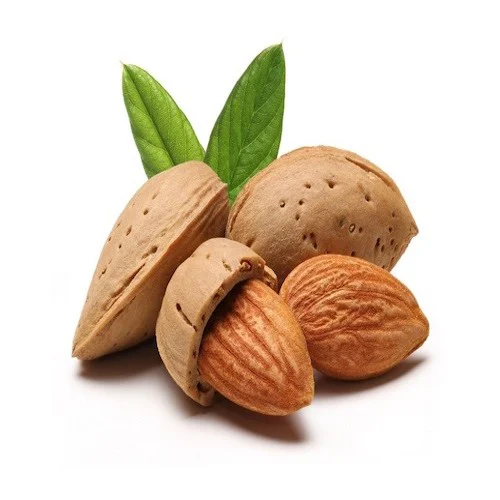 https://s3.vistaartrade.com/vistaartrade/media/products/2024/02/01/capitalising-on-the-functional-power-of-almonds-500x500.webp