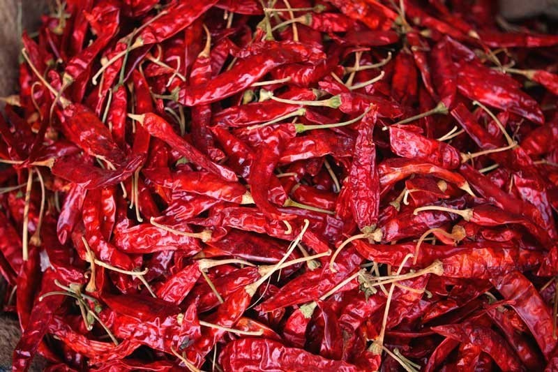 Red Whole Chilly