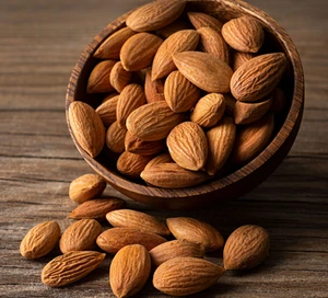 Brown Almond Seed