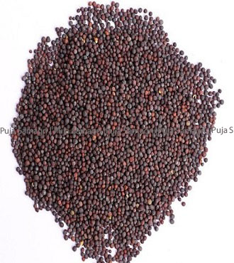 Organic Mustard Seeds(Tori)