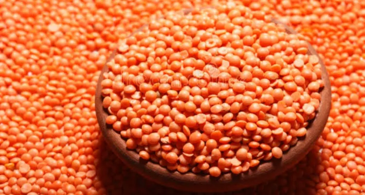 Organic Nepali Masoor  Daal