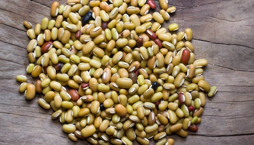 Masyang Rice Beans Seeds