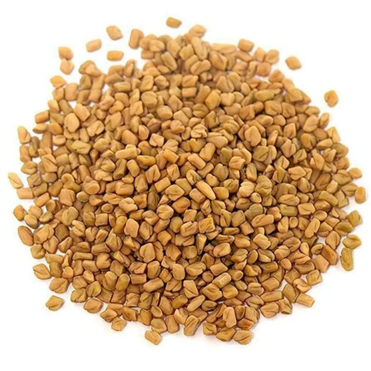 Organic Fenugreek Seed (Methi)