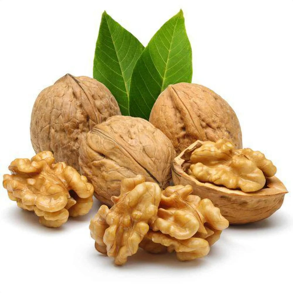 Organic Walnut Dry Fruit
