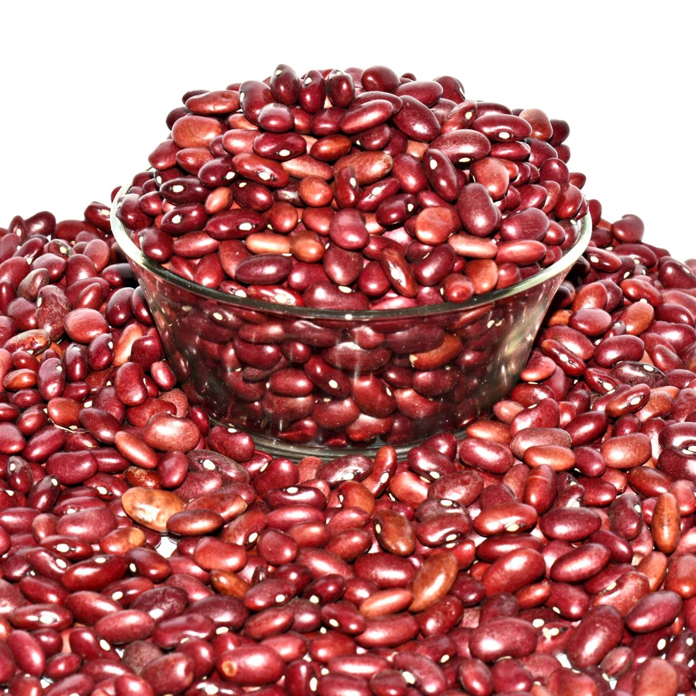 Red Kidney Beans Rajma Seeds