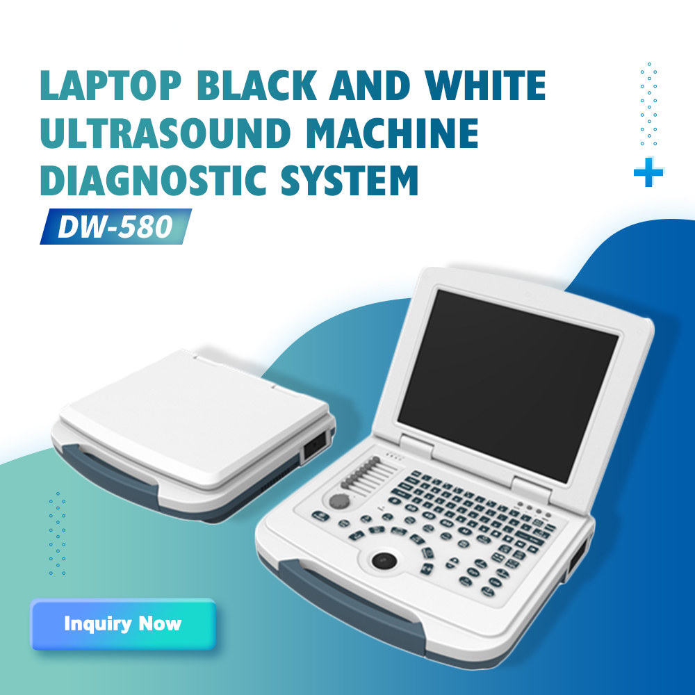 B/W Portable USG (Dw-580)