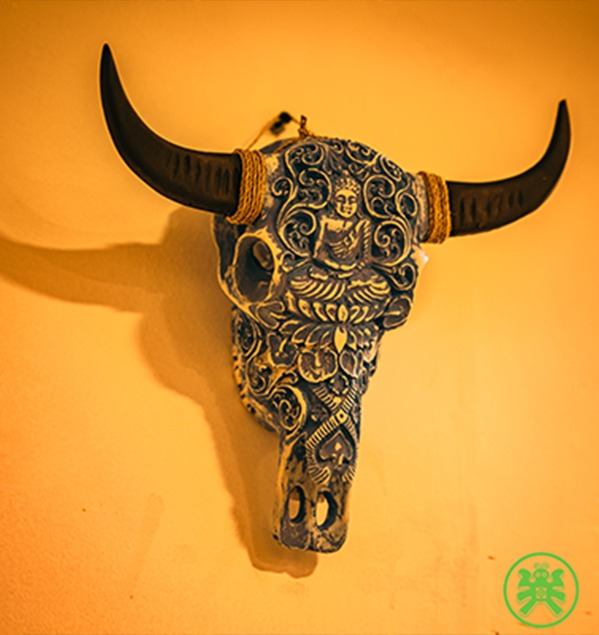Buffalo skull Orientic Decor