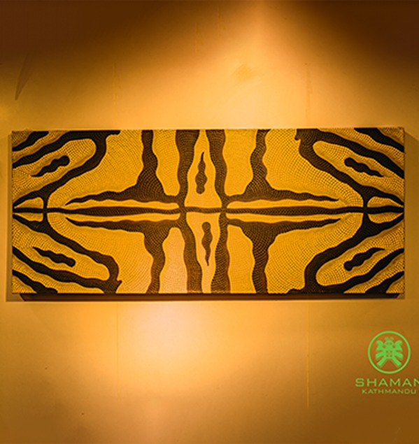 Tiger Print  background vector image