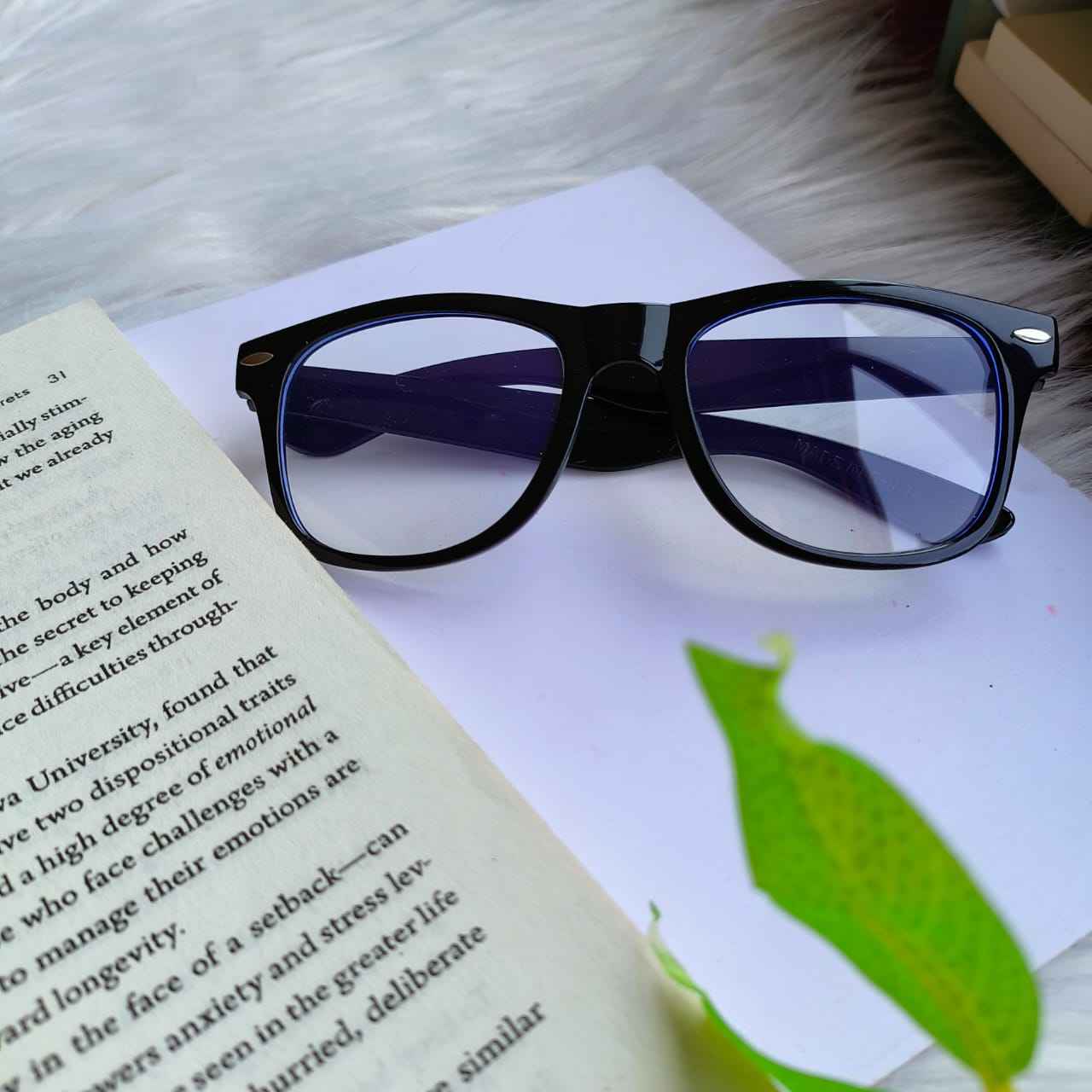 Anti Blue Light Glasses